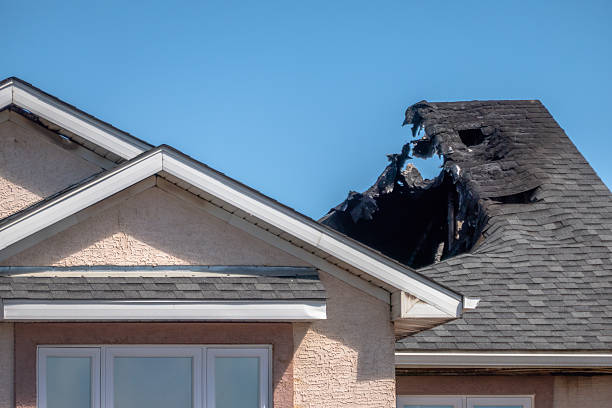 Top rated local Fire Damage Removal specialists in Woodville, OH